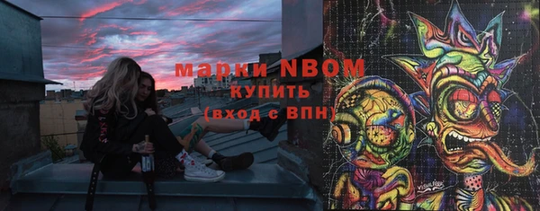 гашик Новодвинск