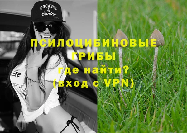 гашик Новодвинск