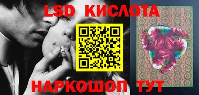 прущие грибы Пенза
